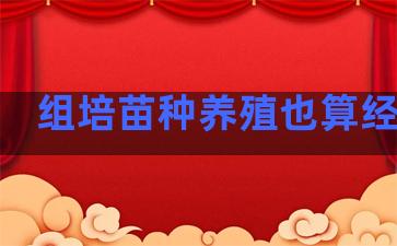 组培苗种养殖也算经商吗