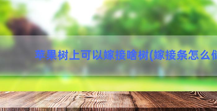 苹果树上可以嫁接啥树(嫁接条怎么储存)