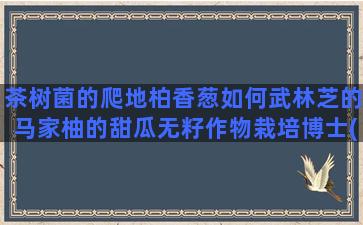 茶树菌的爬地柏香葱如何武林芝的马家柚的甜瓜无籽作物栽培博士(茶树菌)