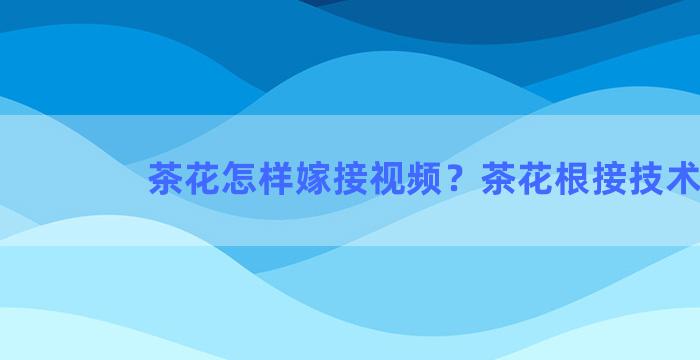 茶花怎样嫁接视频？茶花根接技术