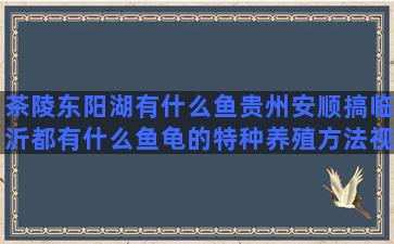 茶陵东阳湖有什么鱼贵州安顺搞临沂都有什么鱼龟的特种养殖方法视频播放(茶陵东阳湖钓鱼收费吗)