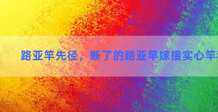 路亚竿先径，断了的路亚竿嫁接实心竿稍有用没