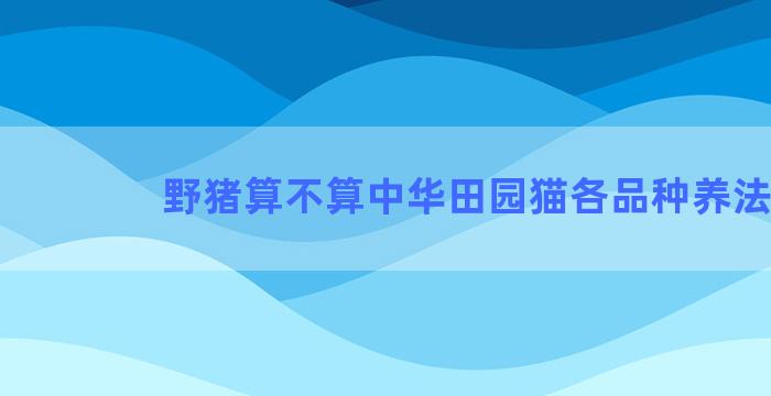 野猪算不算中华田园猫各品种养法