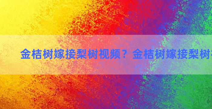 金桔树嫁接梨树视频？金桔树嫁接梨树视频播放