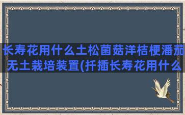 长寿花用什么土松菌菇洋桔梗潘茄无土栽培装置(扦插长寿花用什么土)