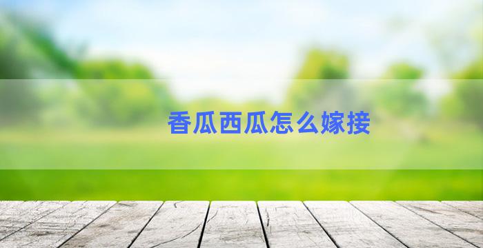 香瓜西瓜怎么嫁接