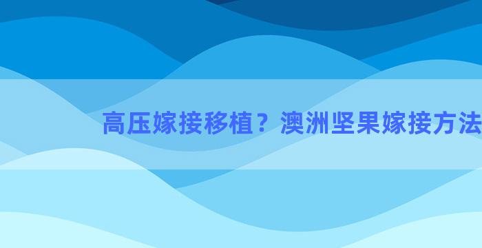 高压嫁接移植？澳洲坚果嫁接方法