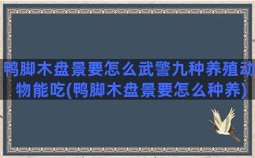 鸭脚木盘景要怎么武警九种养殖动物能吃(鸭脚木盘景要怎么种养)