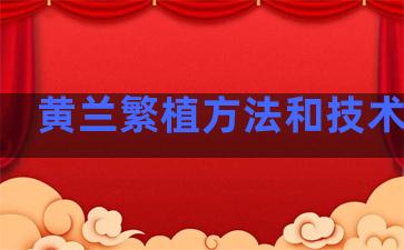 黄兰繁植方法和技术要点